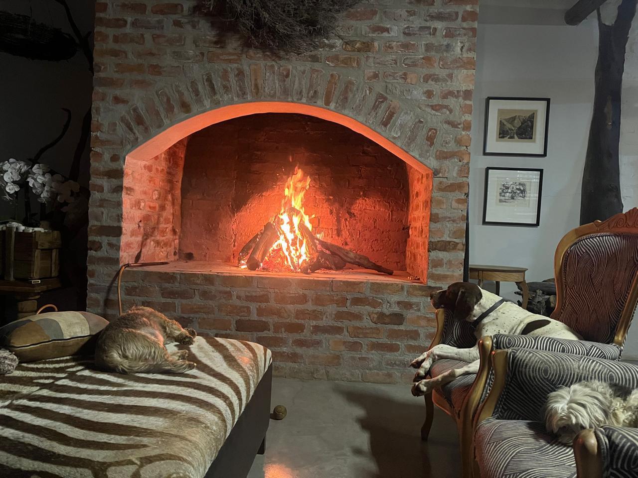 WhatsApp Image 2024-11-26 at 15.14.27_4ba58c27