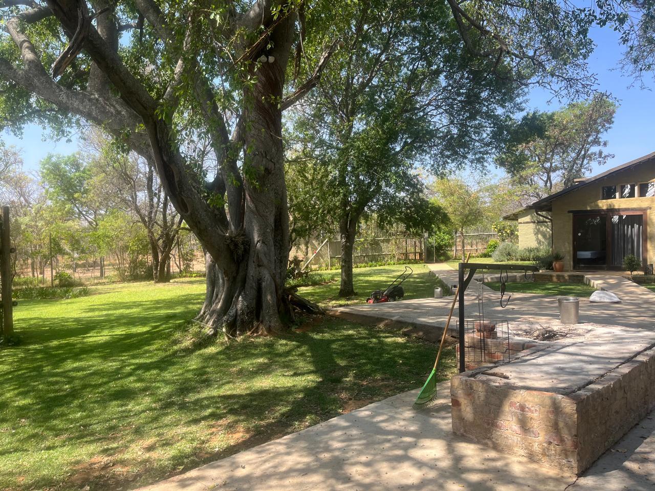 WhatsApp Image 2024-11-26 at 15.14.28_93e84bd3